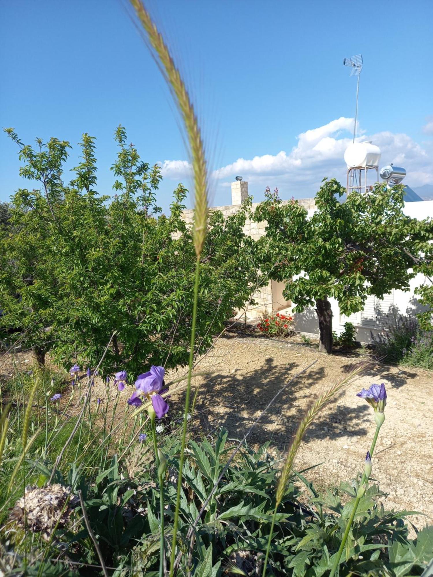 Villa Koumneni Pano Akourdalia Exterior photo