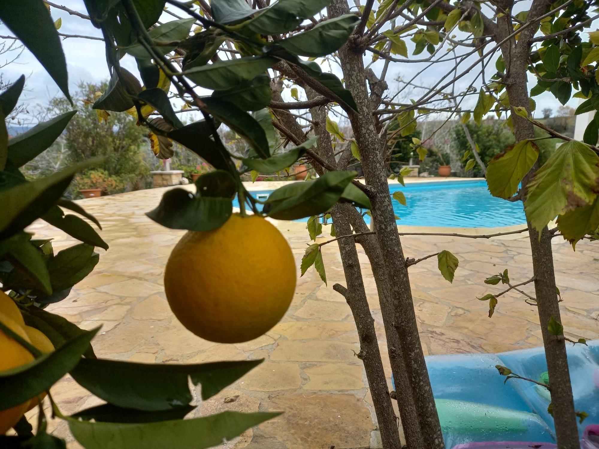 Villa Koumneni Pano Akourdalia Exterior photo